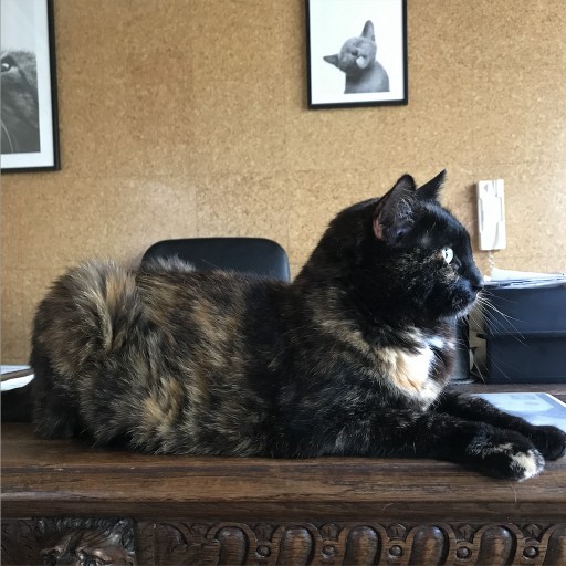 Dora